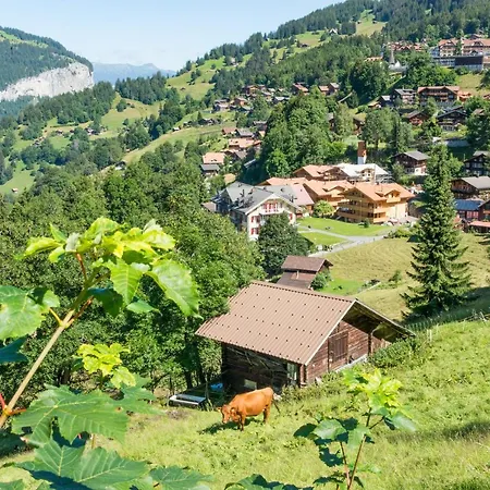 Panoramapark Soleil Chalet F Wengen